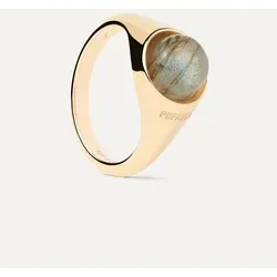 PD PAOLA - RING - LABRADORIT MOON - gold