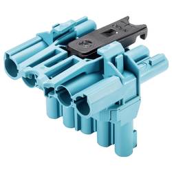 Wieland Electric 92.050.3453.0 Verteiler