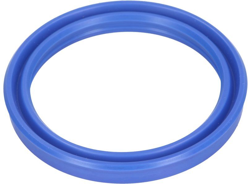 Evert Guarnizione Y-RING (SD45x55x6) per martinetti ZL207102006