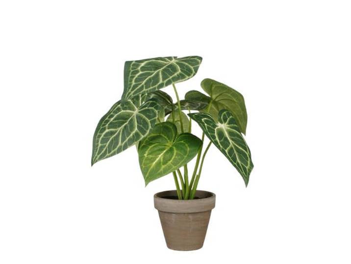 Mica Decorations kunstplant Caladium