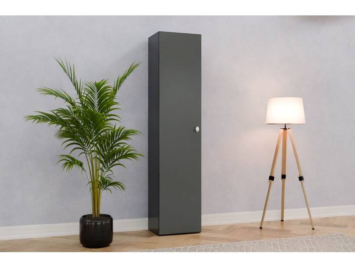 Schrank nach Maß - RAL 7011 Eisengrau - 201x45x37cm - Individuell konfigurieren