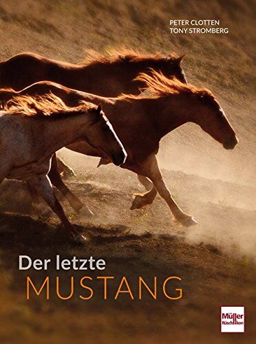 Peter Clotten - Der letzte Mustang - Preis vom 11.10.2026 15:43:13 h