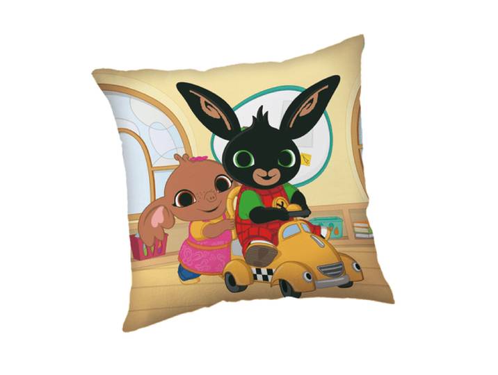 Bing & Sula kussen 40 x 40 cm