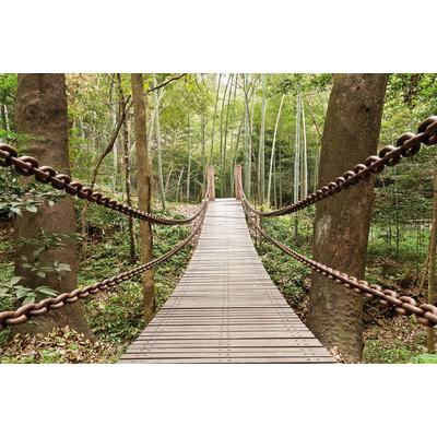 Fototapete PAPERMOON "Suspension Bridge", bunt, B:5m L:2,8m, Vlies, Tapeten