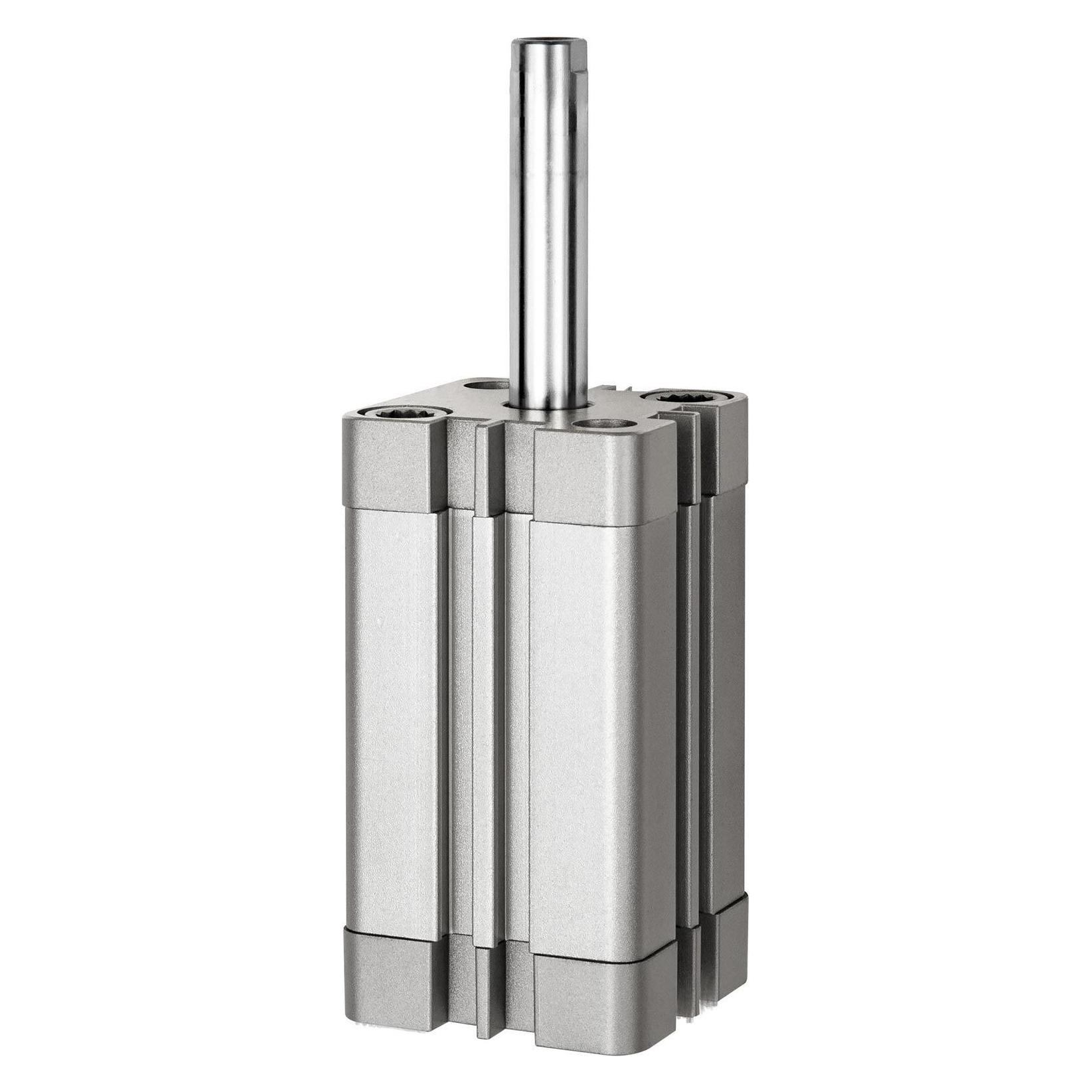 Riegler 15.AMI.12005 (15.AMI.12005)