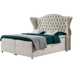 BOXBETT Livia - H3