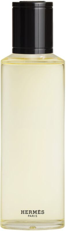 HERMÈS Terre d’Hermès Eau Givrée Eau de Parfum rechargeable pour homme 200 ml
