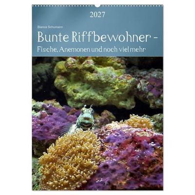 Bunte Riffbewohner - Fische, Anemonen und noch viel mehr (Wandkalender 2027 DIN A2 hoch), CALVENDO Monatskalender