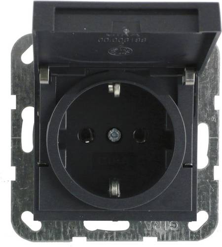 GIRA Schalterprogramm Einsatz Schutzkontakt-Steckdose System 55, Standard 55, E2, Event, Event Klar, Event Opak, Esprit, ClassiX