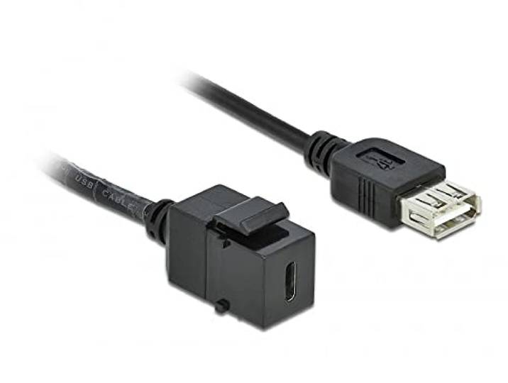 DELOCK KEYSTONE MÓDULO USB 2.0 C HEMBRA USB 2.0 A HEMBRA met kabel