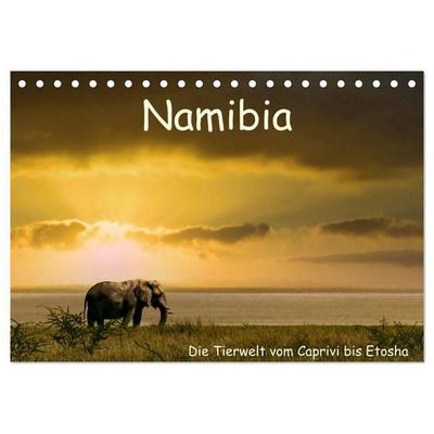 Namibia – Die Tierwelt vom Caprivi bis Etosha (Tischkalender 2027 DIN A5 quer), CALVENDO Monatskalender