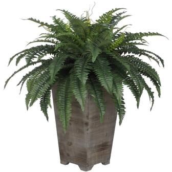 House of Silk Flowers Faux Fern in Tall Washed-Wood Planter