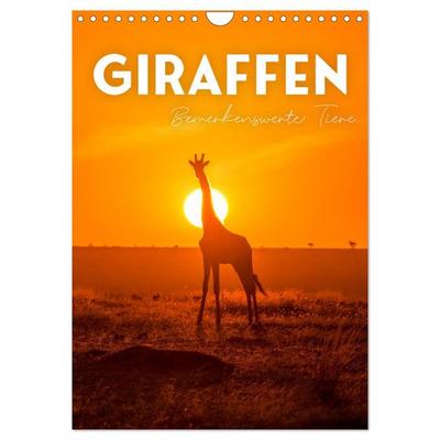 Giraffe - Bemerkenswerte Tiere. (Wandkalender 2026 DIN A4 hoch), CALVENDO Monatskalender