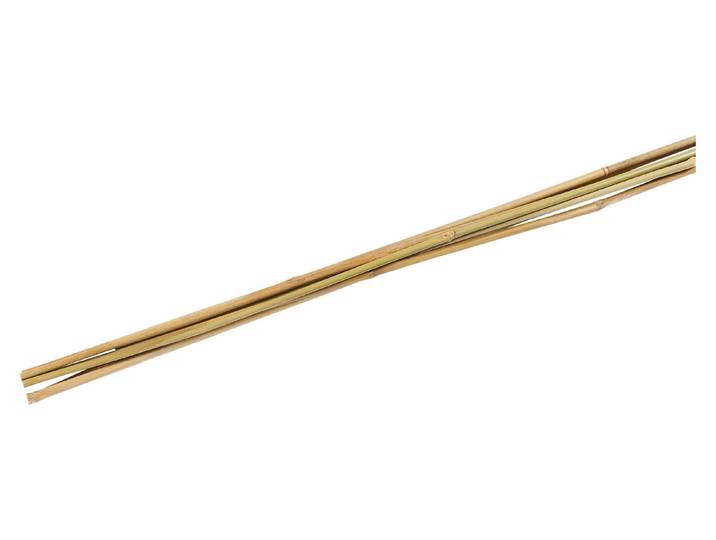 Pflanzenstab Bambus 90 cm 6 Stück