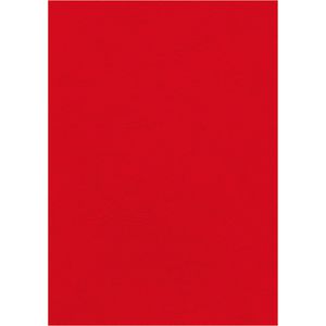 Fellowes Deckblätter 53703 Delta, A4, Lederkarton, rot, 250 g/m², 100 Stück