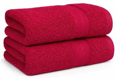Ample Decor Ultra Soft Highly Absorbent Cotton Hand Towel 18X28 Inch