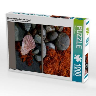CALVENDO Puzzle Steine und Muscheln am Strand | 1000 Teile Lege-Größe 64x48cm Foto-Puzzle für glückliche Stunden