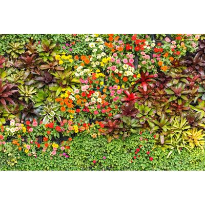 Fototapete PAPERMOON "BLUMEN-ABSTRAKT MUSTER GARTEN PFLANZEN DEKOR NATUR", bunt, B:4,5m L:2,8m, Vlies, Tapeten