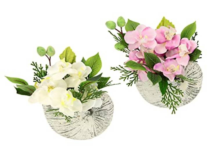 Flair Flower Künstliche Orchidee 17x20x10cm in Muschel Schale 2er Set Künstliche Blume Phalaenopsis Kunstorchidee Rispe Kunstpflanze, weiß/rosa