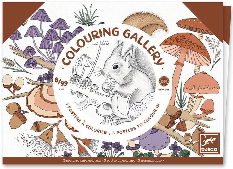 Colouring Gallery : Naturaliste - Djeco