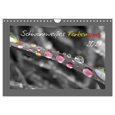Schwarzweißes Farbenspiel 2027 (Wandkalender 2027 DIN A4 quer), CALVENDO Monatskalender