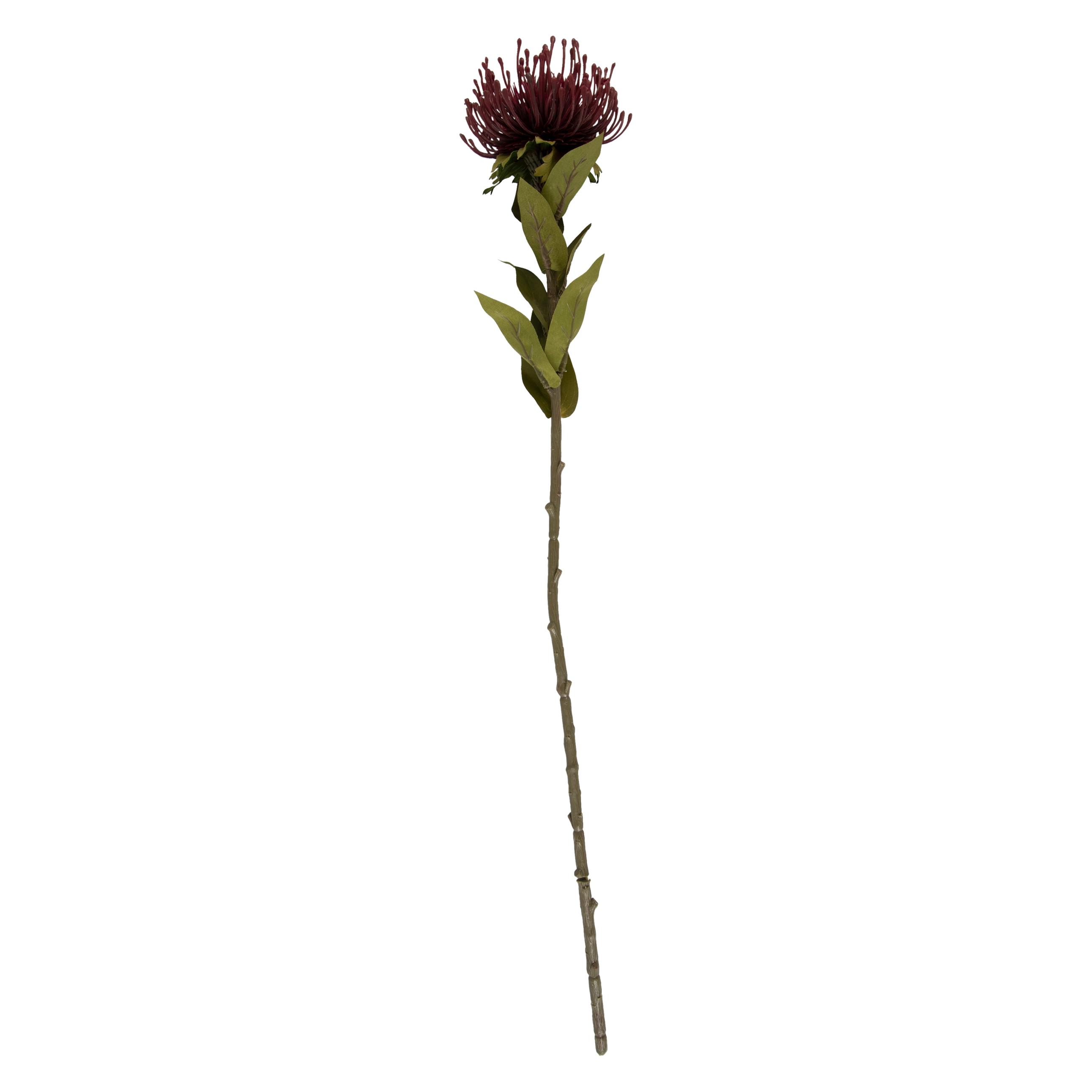 present time Protea Flower Small (59.70 cm) (PT3904RD)