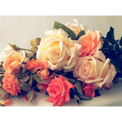 Fototapete PAPERMOON "Vintage Rosen", bunt, B:3m L:2,23m, Vlies, Tapeten