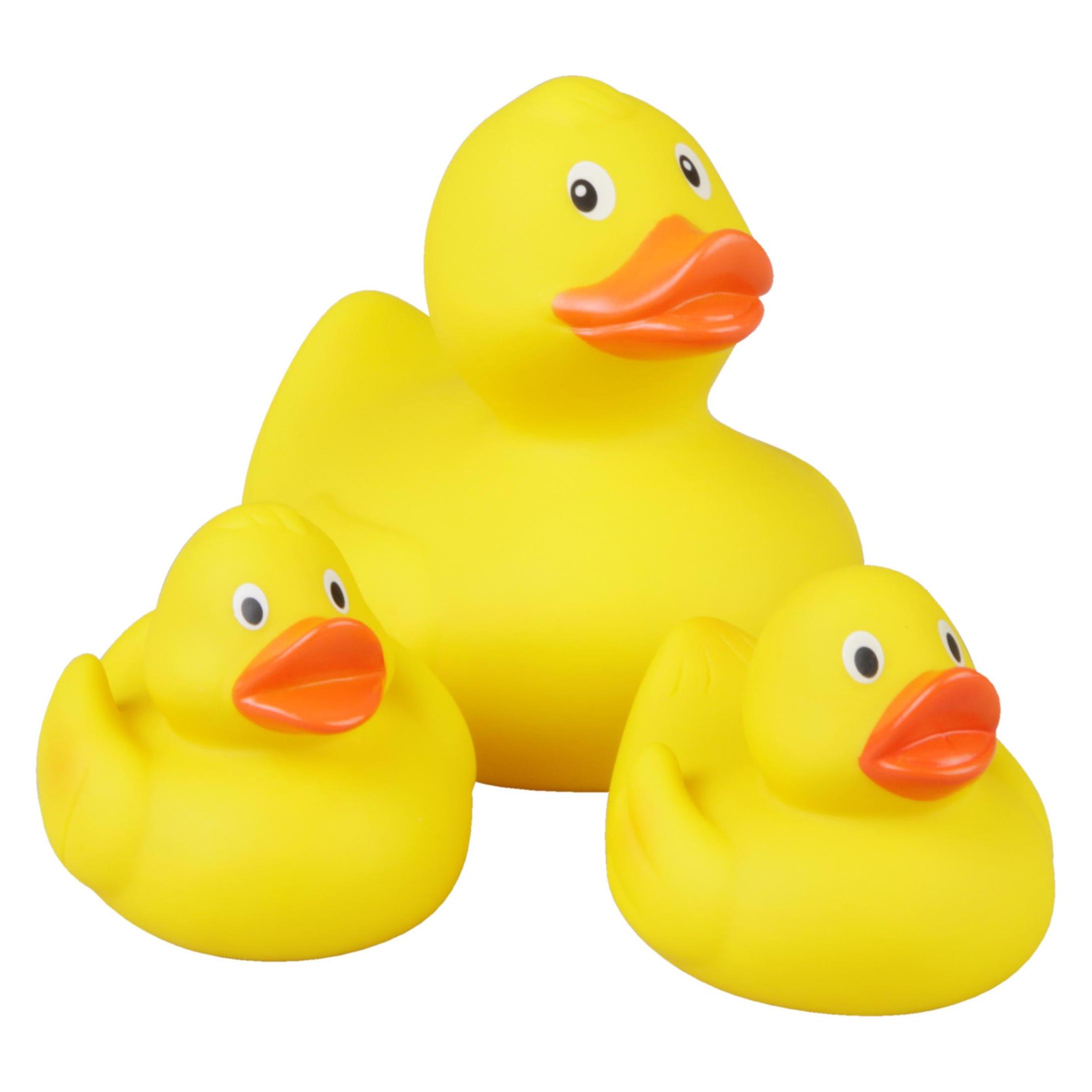 Lena Duck family (65543)