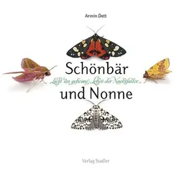 Schönbär und Nonne, Ratgeber von Armin Dett