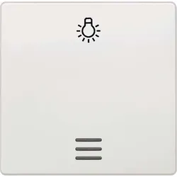 Siemens 5TG6206 DELTA i-system titanweiß Wippe mit Fenster+Symbol Licht für Taster