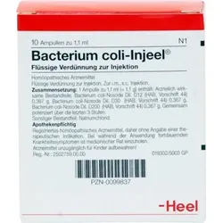 BACTERIUM COLI Injeel Ampullen 10 St Ampullen