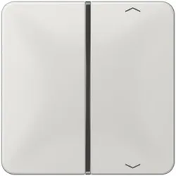 Jung Taste 1-fach lgr CD 401 TSAP LG