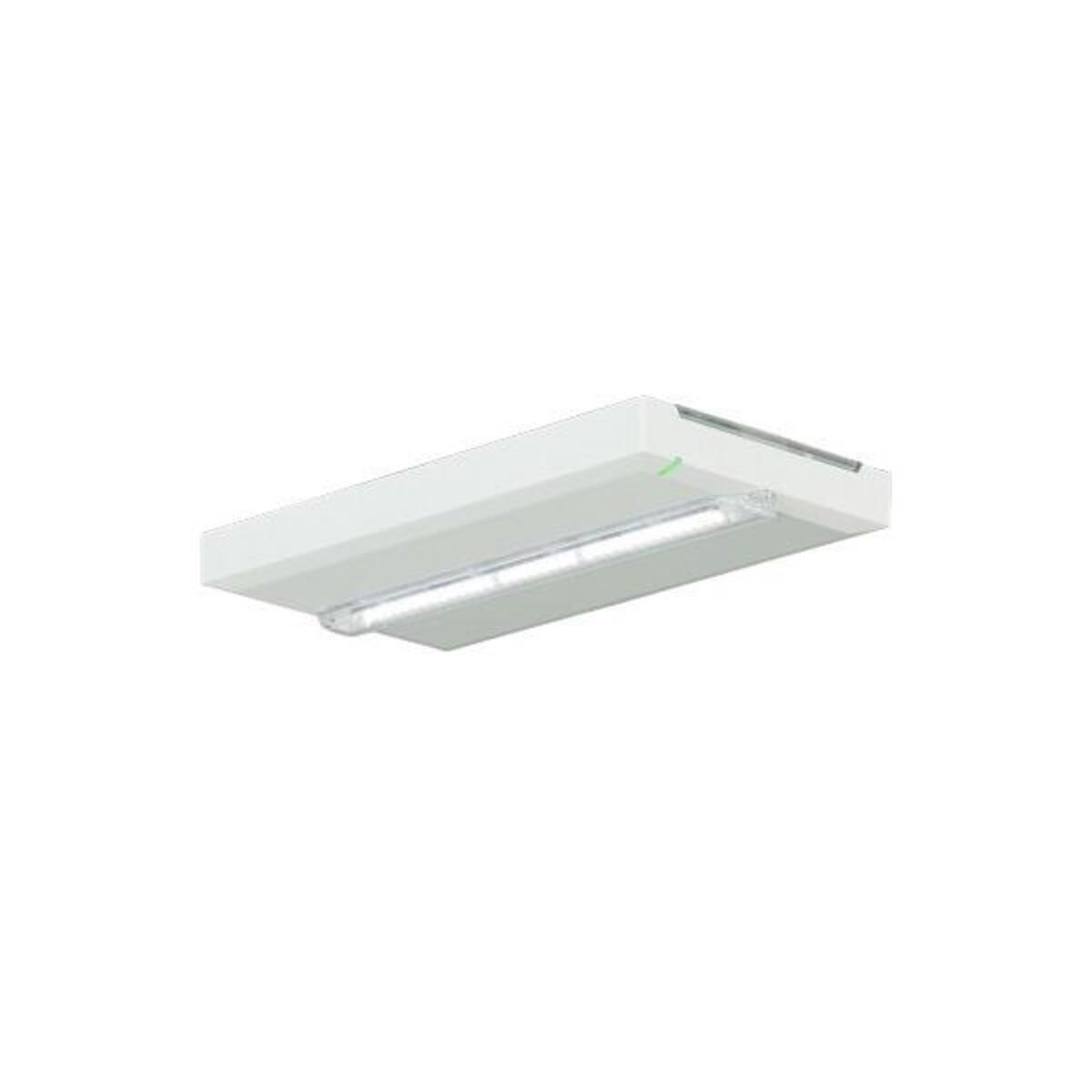CEAG Notlicht LED veiligheidslamp voor wand- of plafondmontage