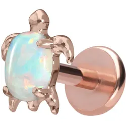 Titan Labret mit Push Fit SCHILDKRÖTE