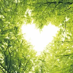 240 Duni Tissue-Servietten 33 x 33 cm Nature Love 3-lagig