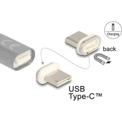 DELOCK Magnetischer Adapter USB Type-C Stecker