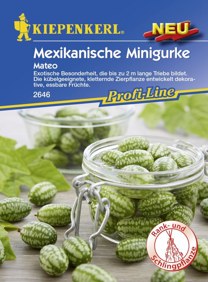 Kiepenkerl Mexikanische Minigurke Mateo ca. 8 Pflanzen