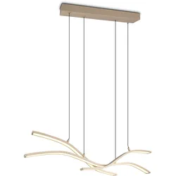 Pendelleuchte SPIDER (BHT 130x170x13,80 cm) - BHT 130x170x13,80 cm