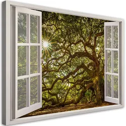 WANDBILD fensterblick baum wald natur