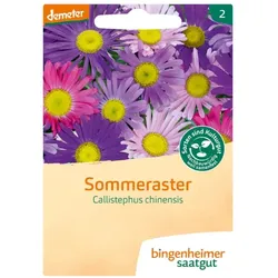 Bingenheimer Saatgut Sommeraster demeter