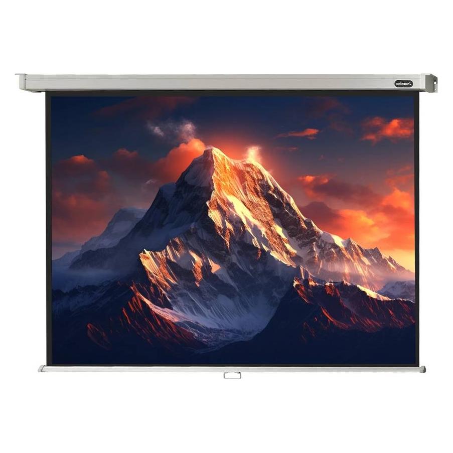 Celexon Rollo Professional (133.07", 4:3) (1090054)