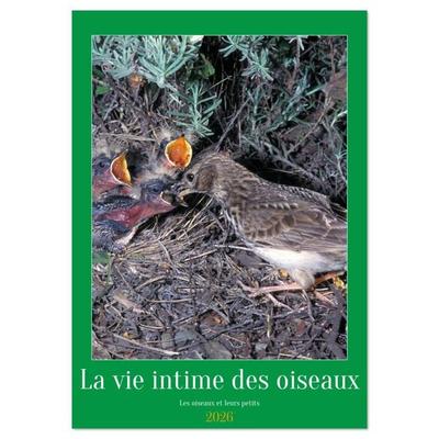 La vie intime des oiseaux Les oiseaux et leurs petits (Calendrier mural 2026 DIN A2 horizontal), CALVENDO calendrier mensuel