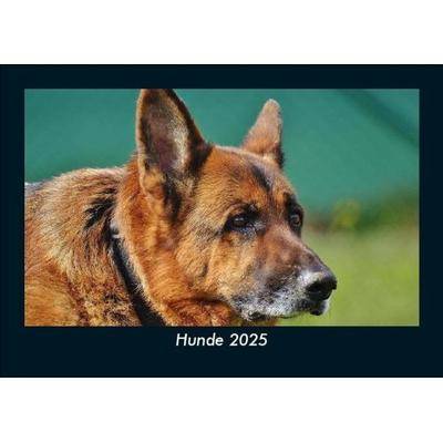 Hunde 2025 Fotokalender DIN A5