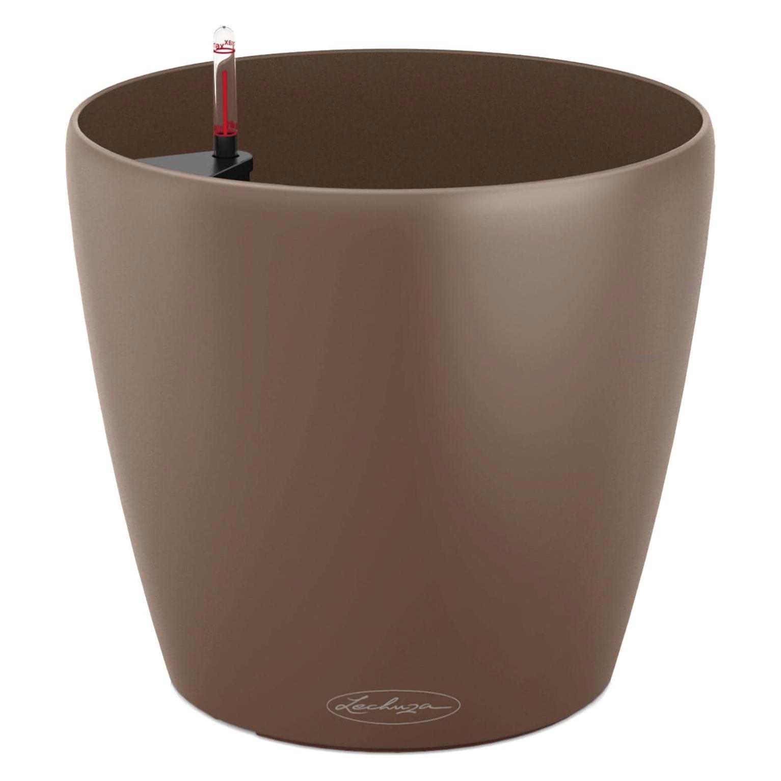 Lechuza Classico Color (34.50 x 32.50 cm) (13223)