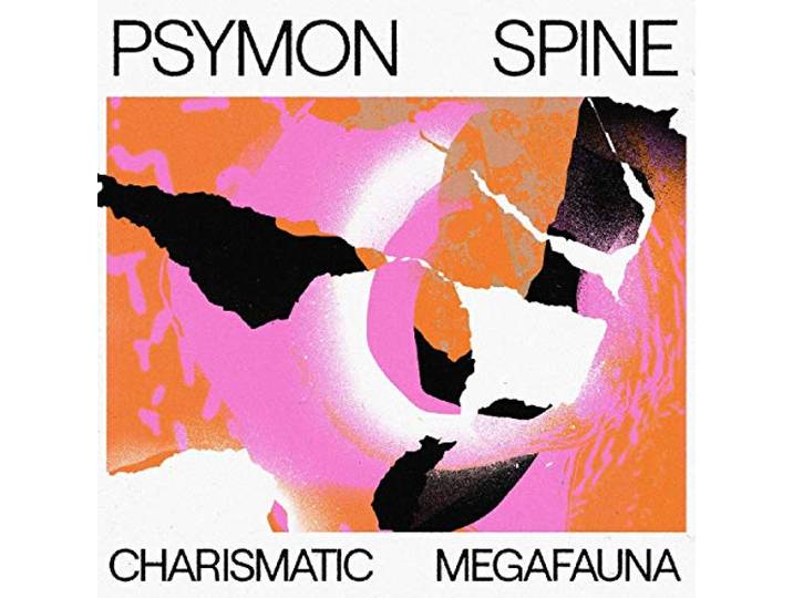 Charismatic Megafauna