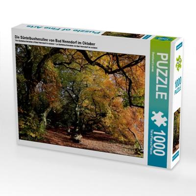 CALVENDO Puzzle Die Süntelbuchenallee von Bad Nenndorf im Oktober | 1000 Teile Lege-Größe 64x48cm Foto-Puzzle für glückliche Stunden