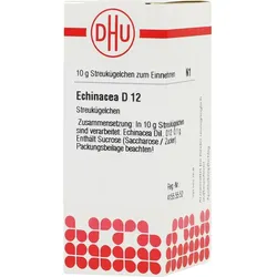 Echinacea (hab) D12 10 G