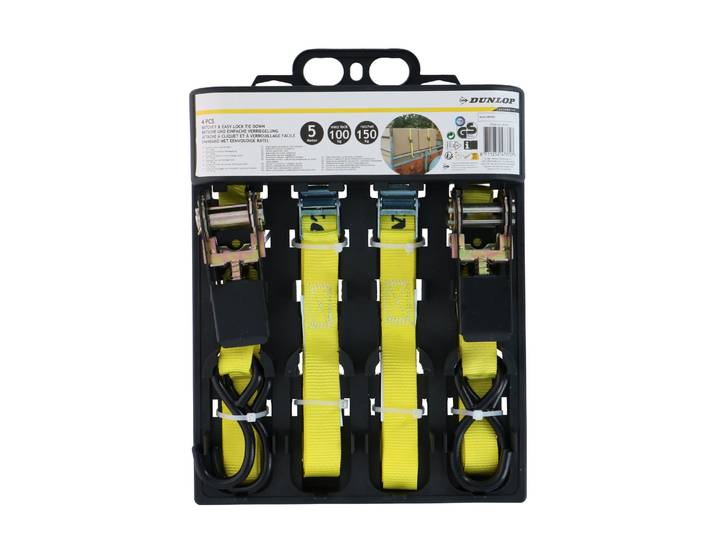 Spanngurt Set 4-teilig 5 m