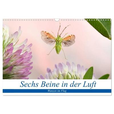 Sechs Beine in der Luft - Wanzen im Flug (Wandkalender 2026 DIN A3 quer), CALVENDO Monatskalender