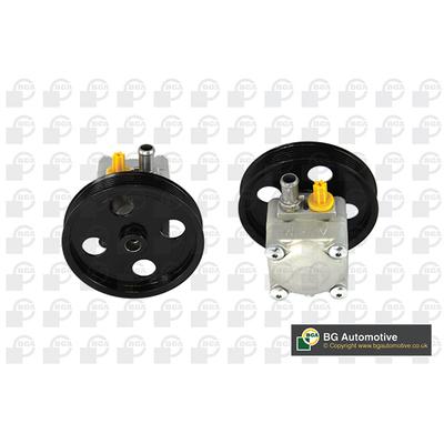 BGA Hydraulikpumpe, Lenkung PSP9705 für Volvo